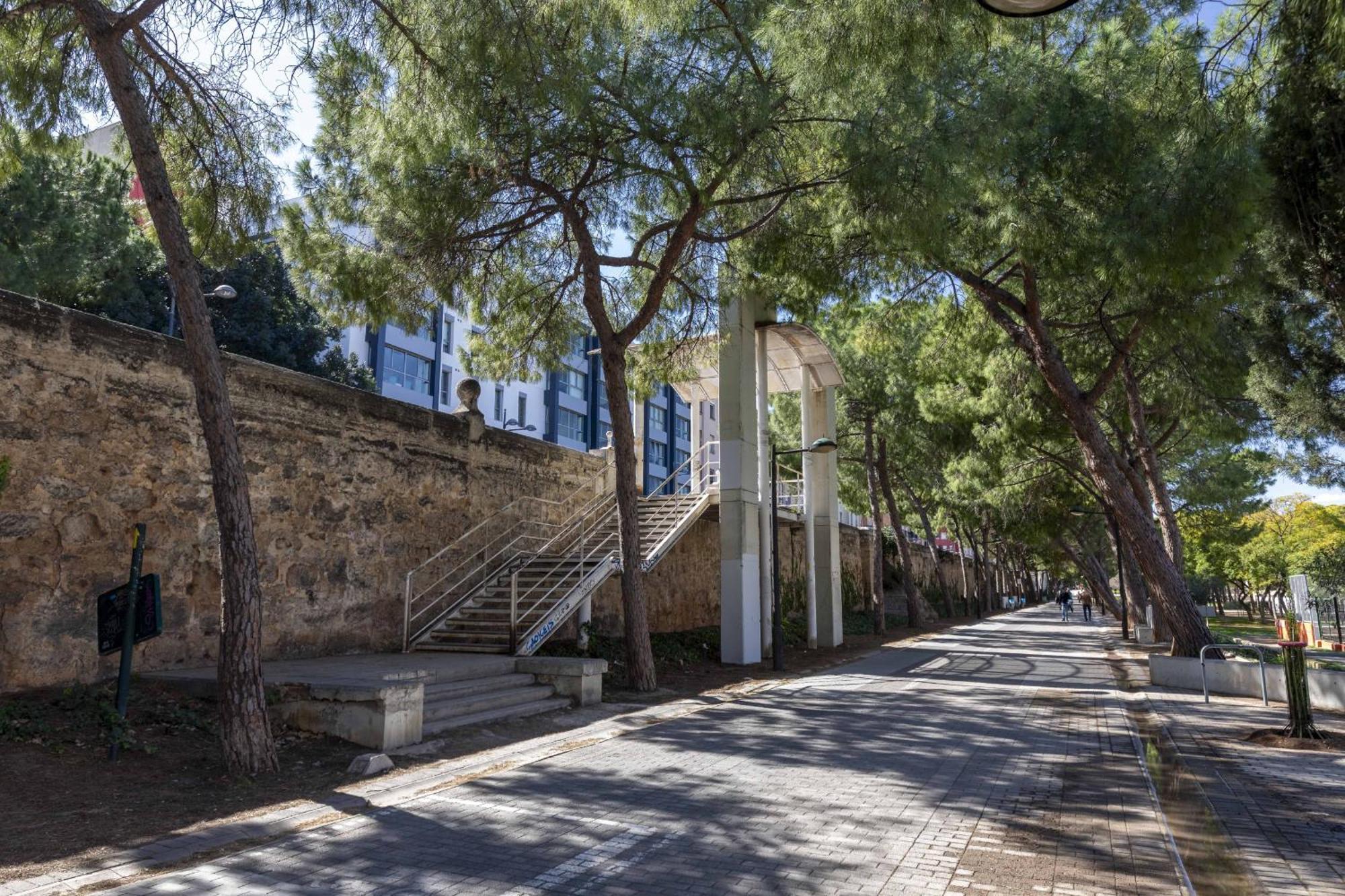 Apartup Turia River Park Valencia Exterior foto